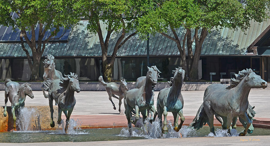 Wild Mustangs of Las Colinas by Jeffrey K. Clarke